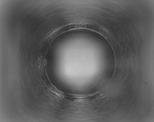 X0000054440773200507291317