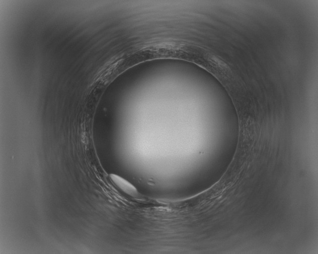 X0000054440774200507291317