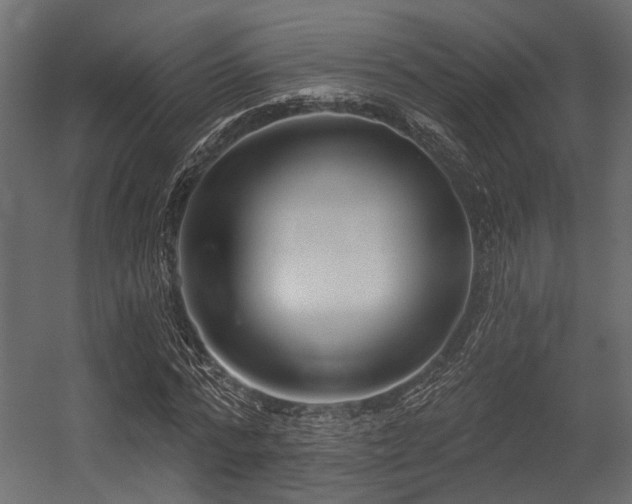 X0000054440776200507291317