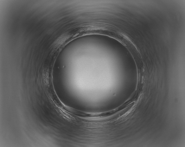 X0000054440777200507291317