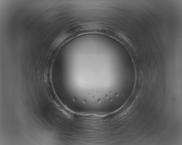 X0000054440778200507291316