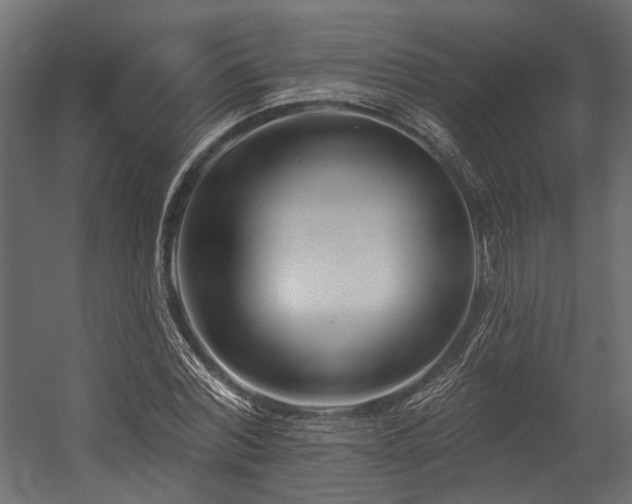 X0000054440780200507291316