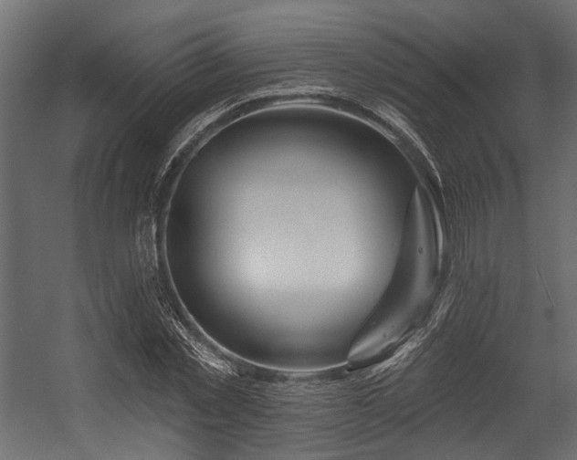 X0000054440781200507291316
