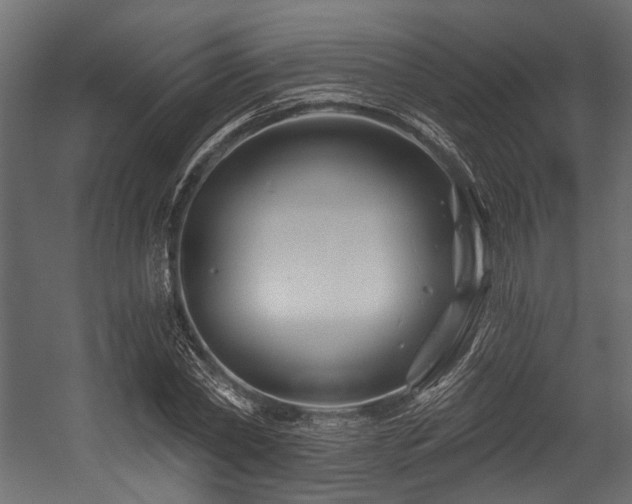 X0000054440782200507291316