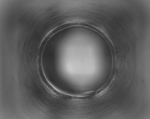 X0000054440783200507291316