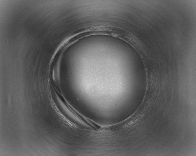 X0000054440784200507291316