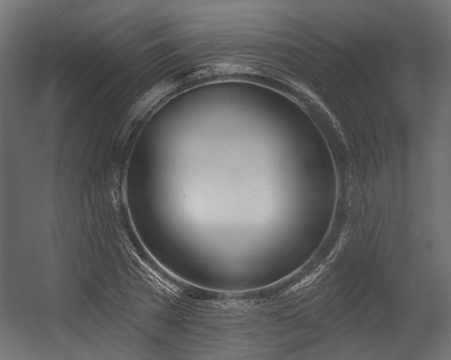 X0000054440785200507291316