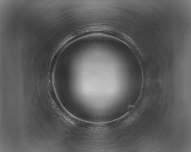 X0000054440786200507291316