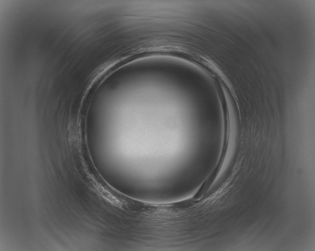 X0000054440787200507291316