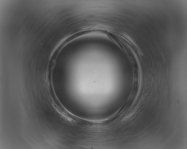 X0000054440788200507291316