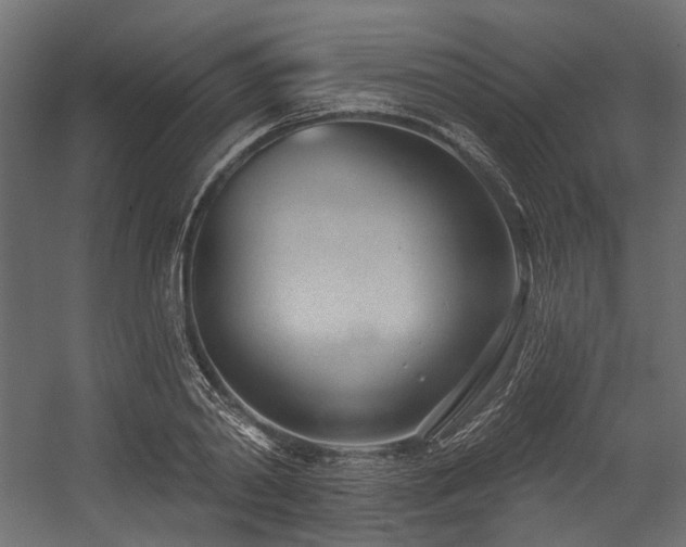 X0000054440790200507291316
