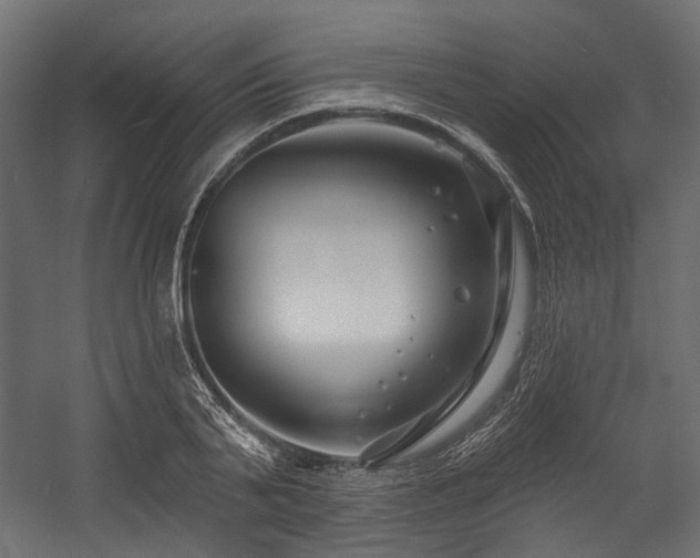 X0000054440791200507291316