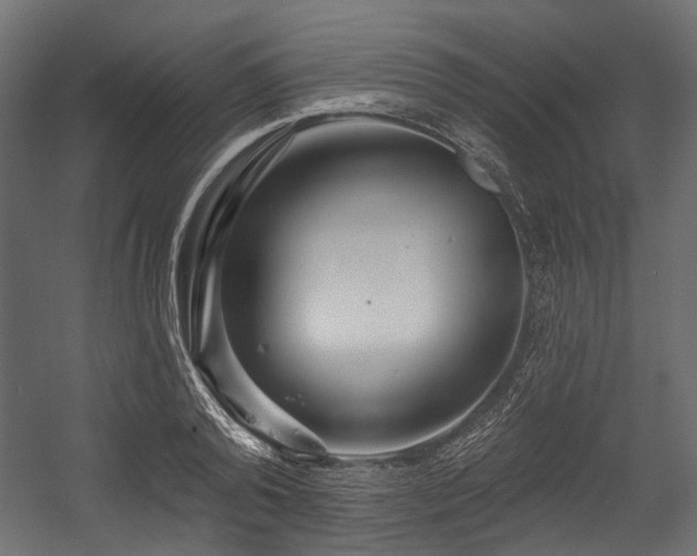 X0000054440792200507291316