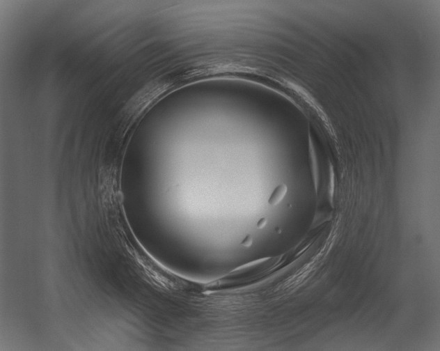 X0000054440793200507291316