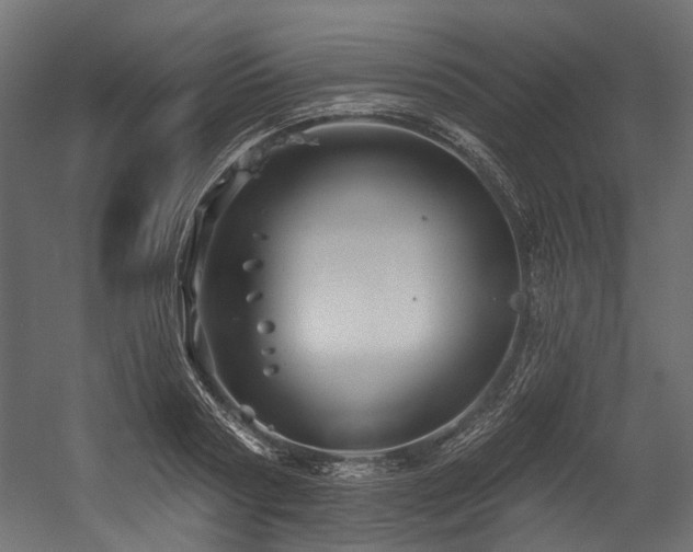 X0000054440794200507291316