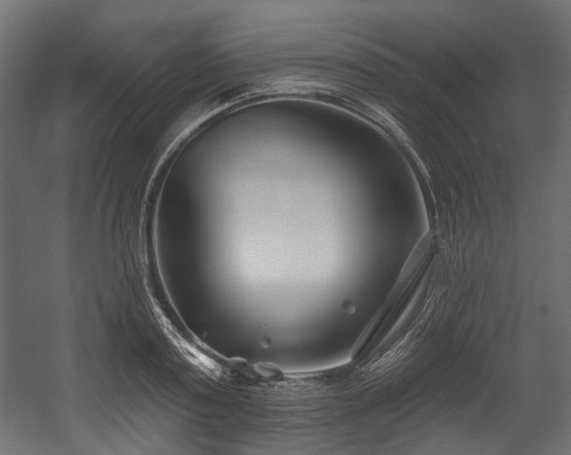X0000054440795200507291316