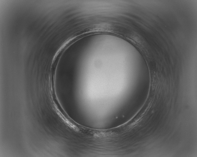 X0000054440796200507291316