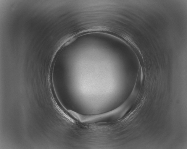 X0000054440797200507291316