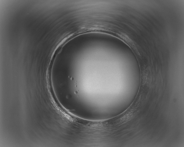 X0000054440798200507291316