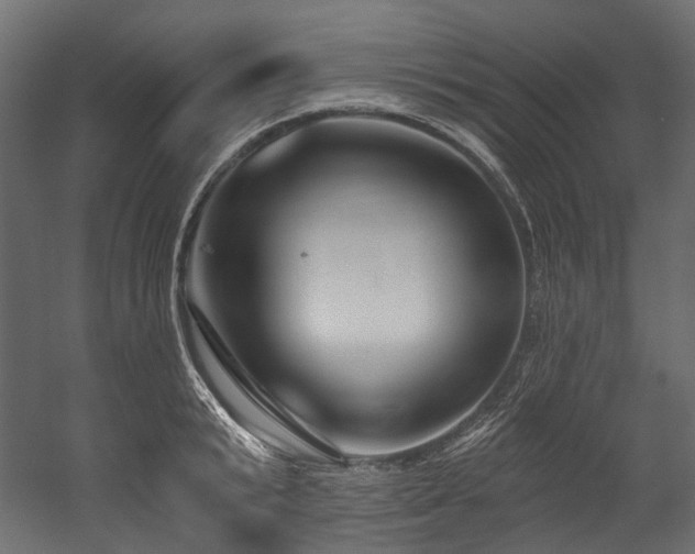 X0000054440799200507291316