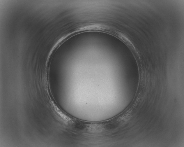 X0000054440800200507291316