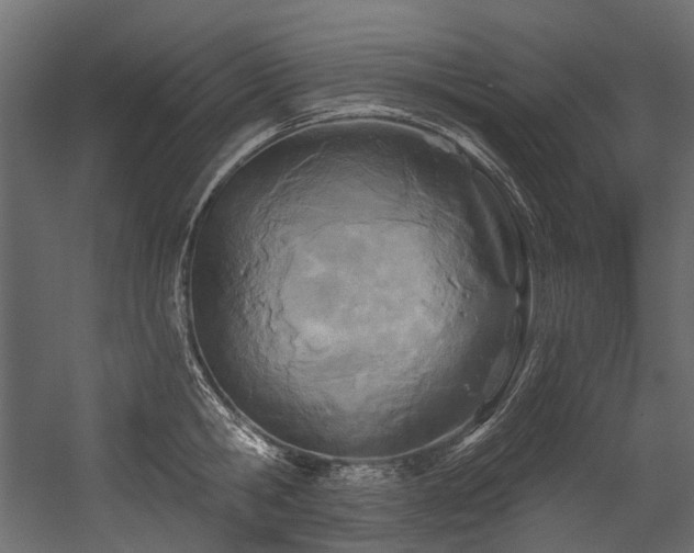 X0000054440806200507291316