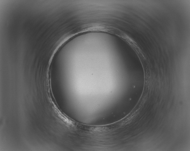 X0000054440808200507291316