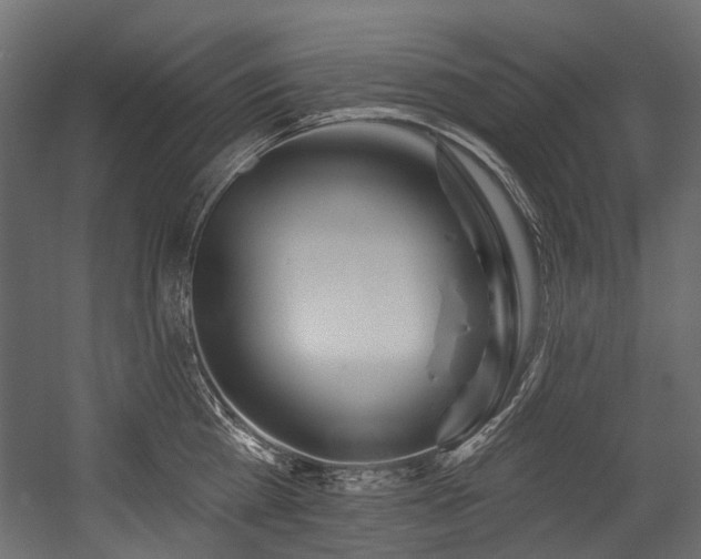 X0000054440809200507291316