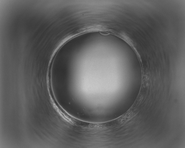 X0000054440811200507291316