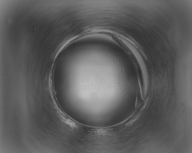 X0000054440814200507291316