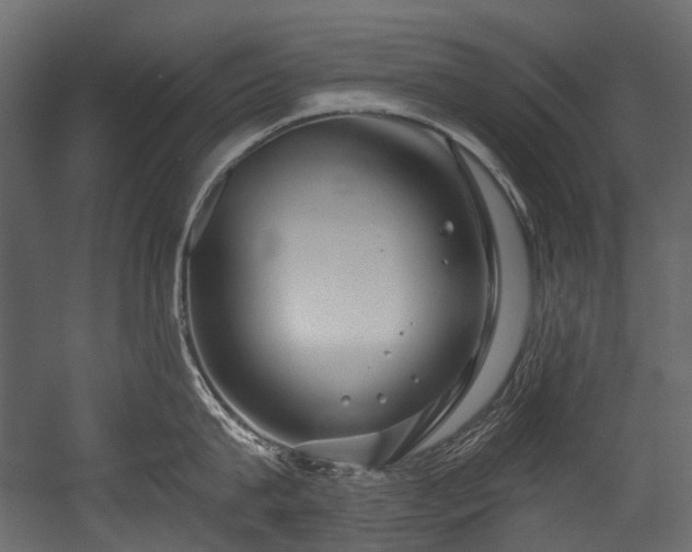 X0000054440815200507291316