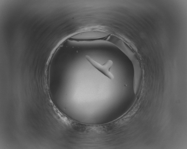 X0000054440816200507291316