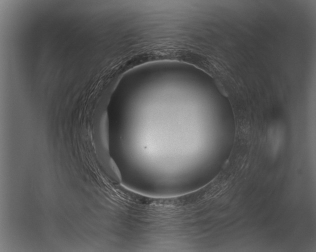 X0000054440817200507291315