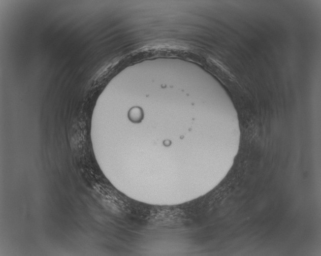 X0000054440824200507291315