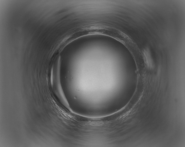 X0000054440825200507291315