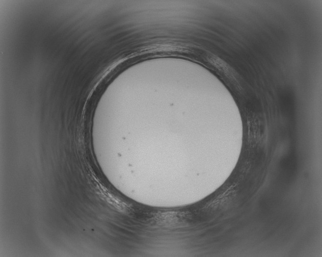 X0000054440828200507291315