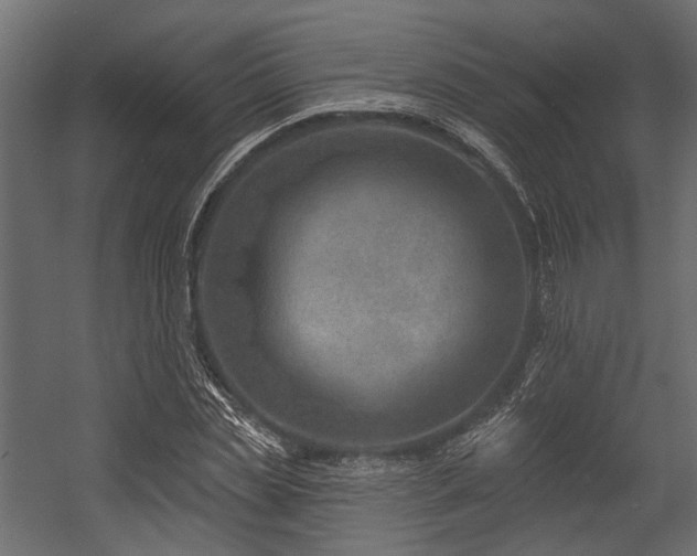 X0000054440829200507291315
