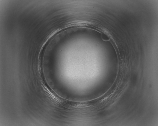 X0000054440835200507291315