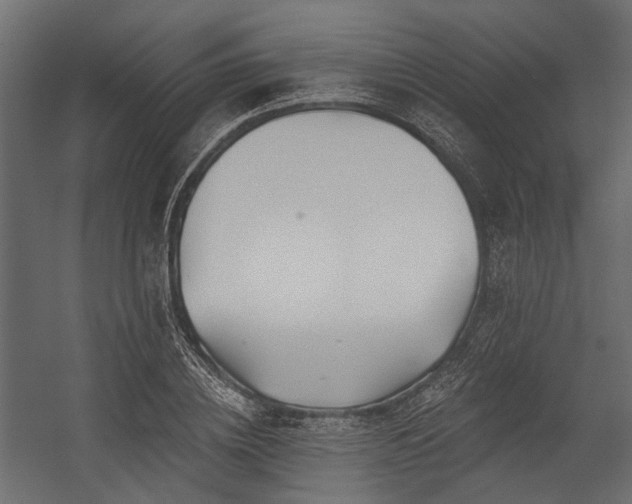 X0000054440836200507291315