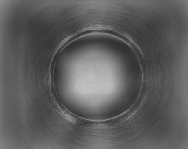 X0000054440837200507291315