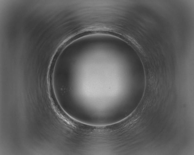 X0000054440840200507291315