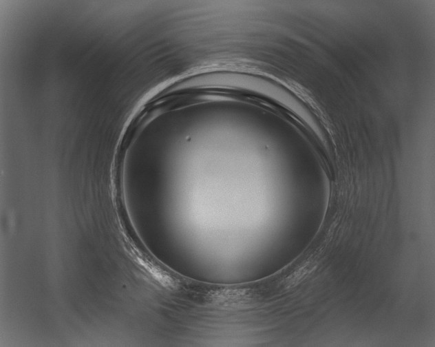 X0000054440846200507291316