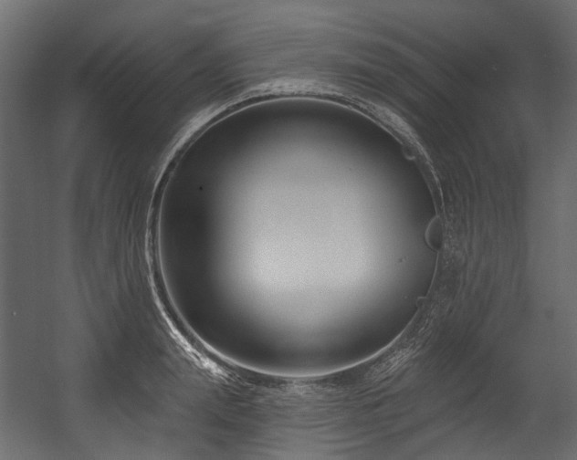 X0000054440847200507291316