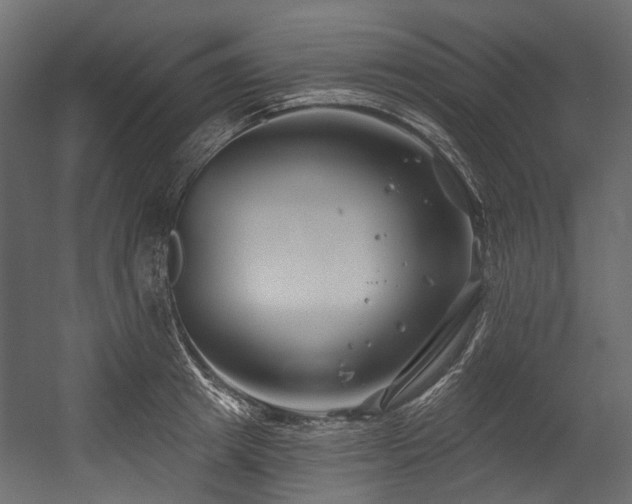 X0000054440849200507291316