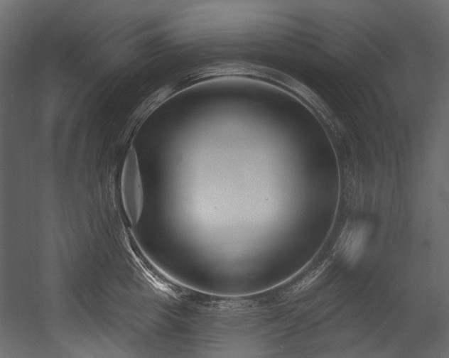 X0000054440857200507291316