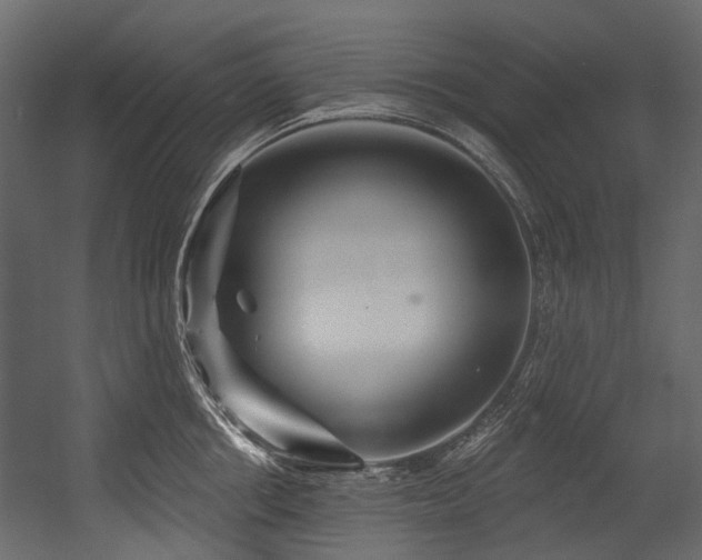 X0000054440858200507291316