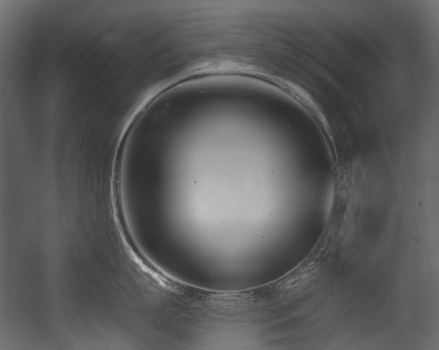 X0000054440863200507291316