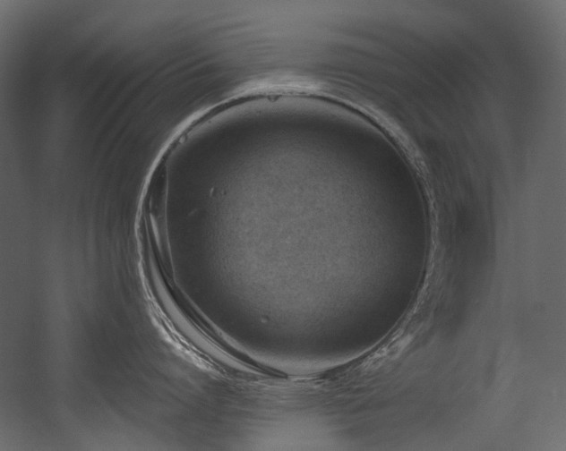 X0000054440864200507291316