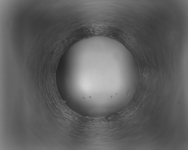 X0000054440865200507291315