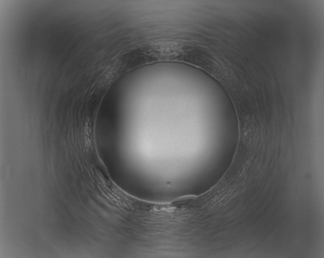 X0000054440866200507291315